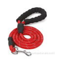 Best Selling Solid EVA Handle Nylon Dog Leash